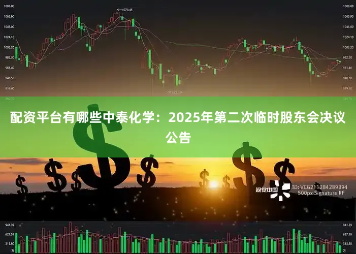 配资平台有哪些中泰化学：2025年第二次临时股东会决议公告